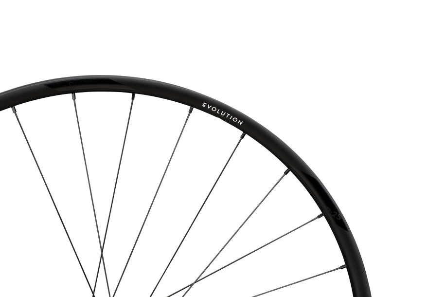 Evolution SL X.R.25 Aluminium, Centerlock, 12x142 mm, Shimano Micro Spline - schwarz