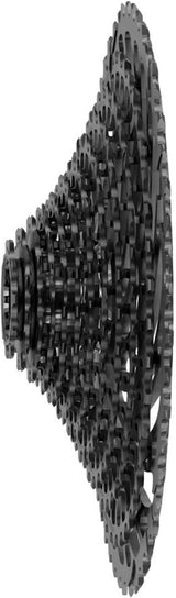 XG-1295 Eagle Kassette 12-fach black