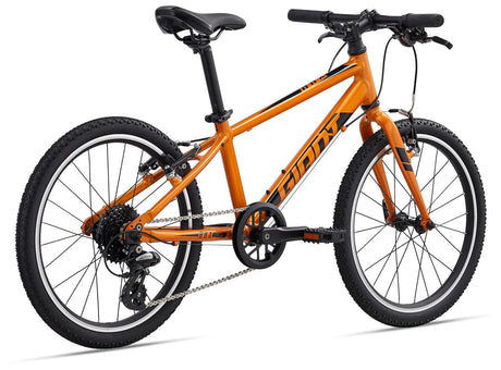 ARX 20 Metallic Orange - microSHIFT