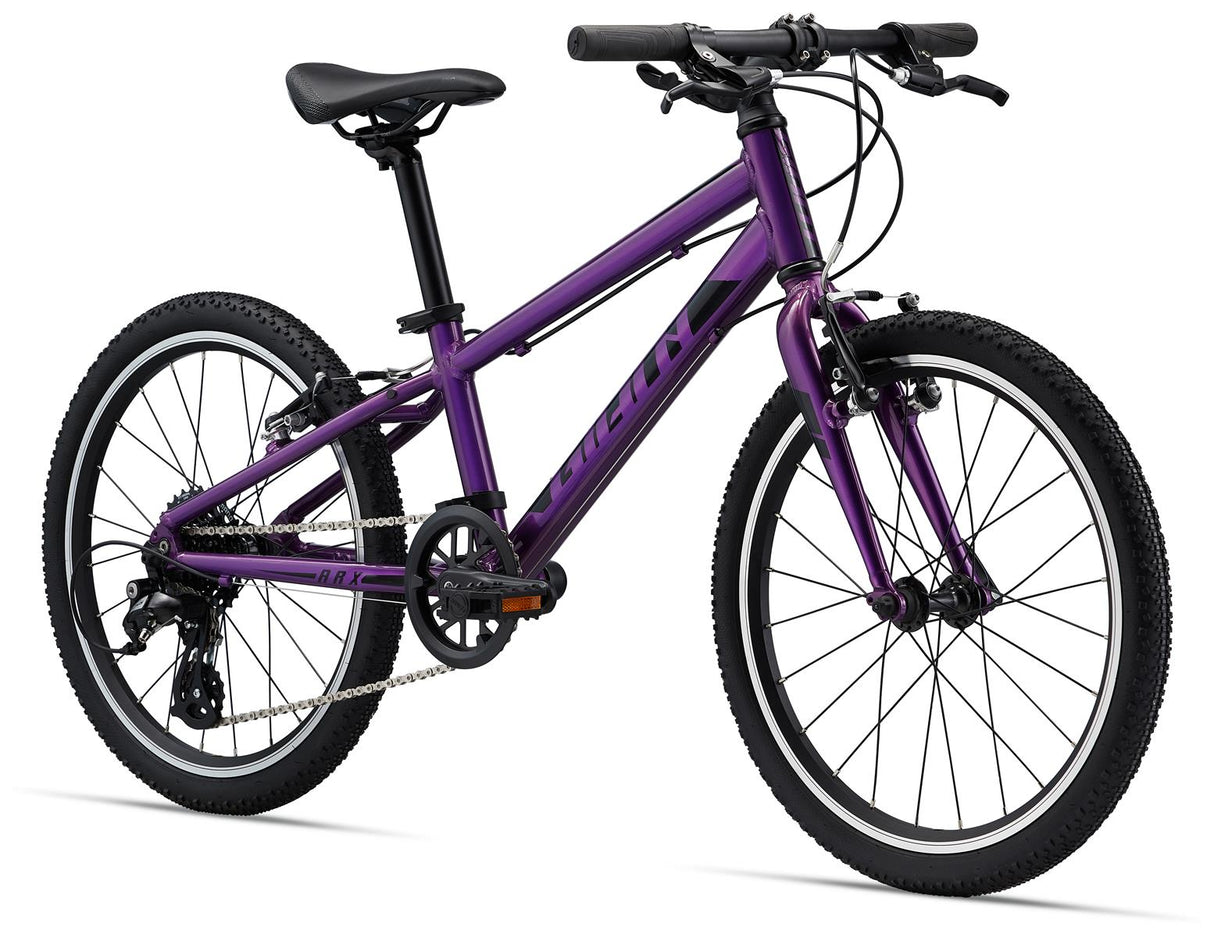 ARX 20 Purple