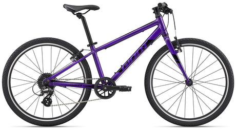 ARX 24 Purple