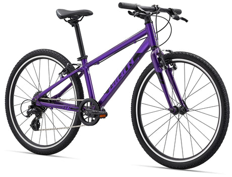 ARX 24 Purple