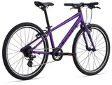 ARX 24 Purple