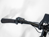 Allant+ 5 Tiefeinsteiger Trek Black 725Wh