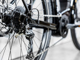 Allant+ 5 Tiefeinsteiger Trek Black 545Wh