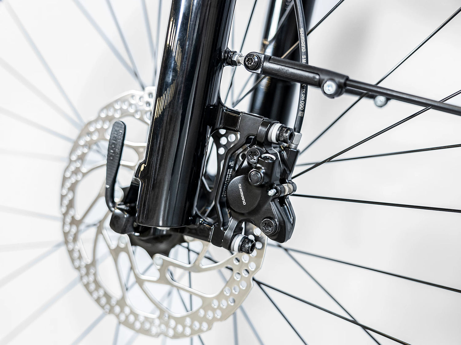 Allant+ 7 Damen Lithium Grey