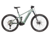 BIXS Sign-E33 - Green-Purple Flick (matt)