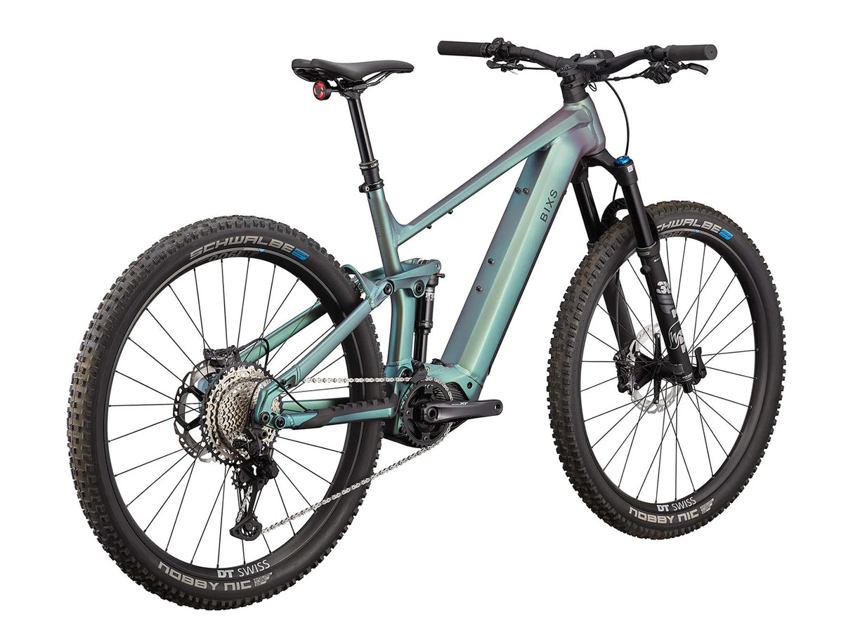 BIXS Sign-E33 - Green-Purple Flick (matt)
