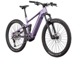 BIXS Sign-E53 - Grey-Purple (matt)