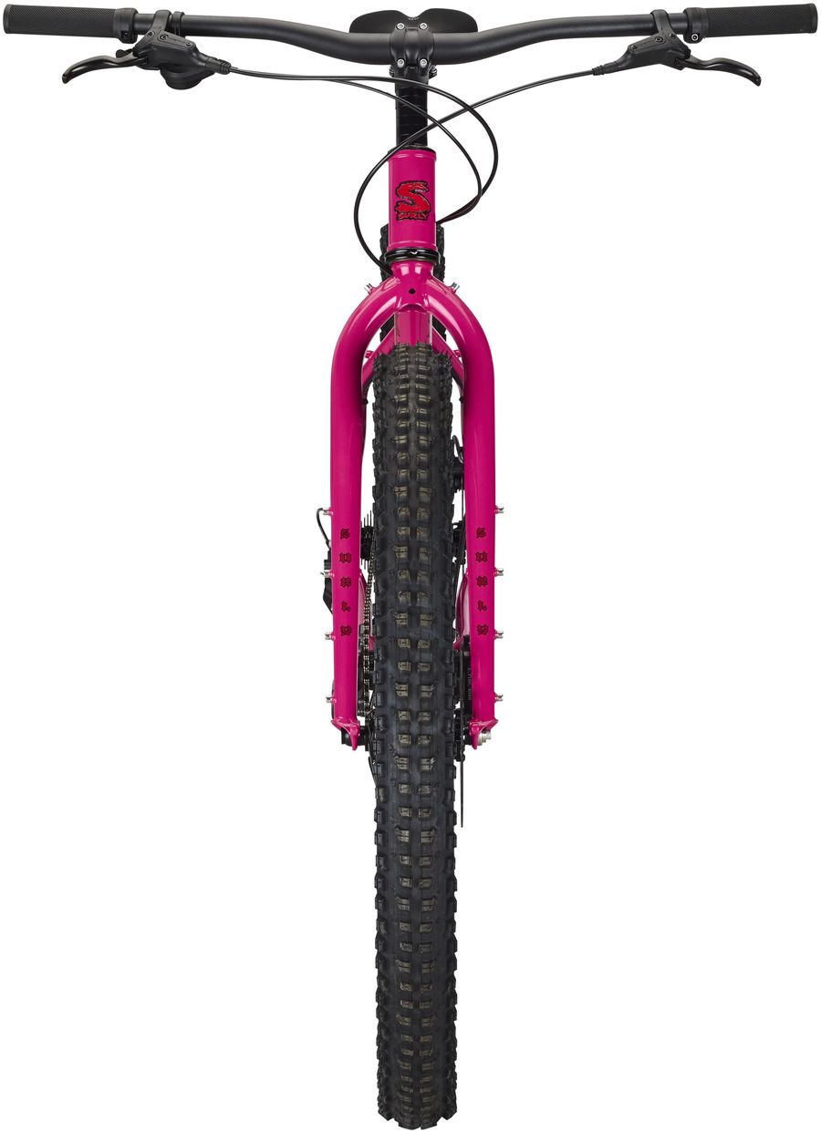 Krampus 29+ - Prickly Pear