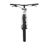 Krampus All Mountain 29+ - First Loser silver