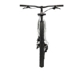 Krampus All Mountain 29+ - First Loser silver