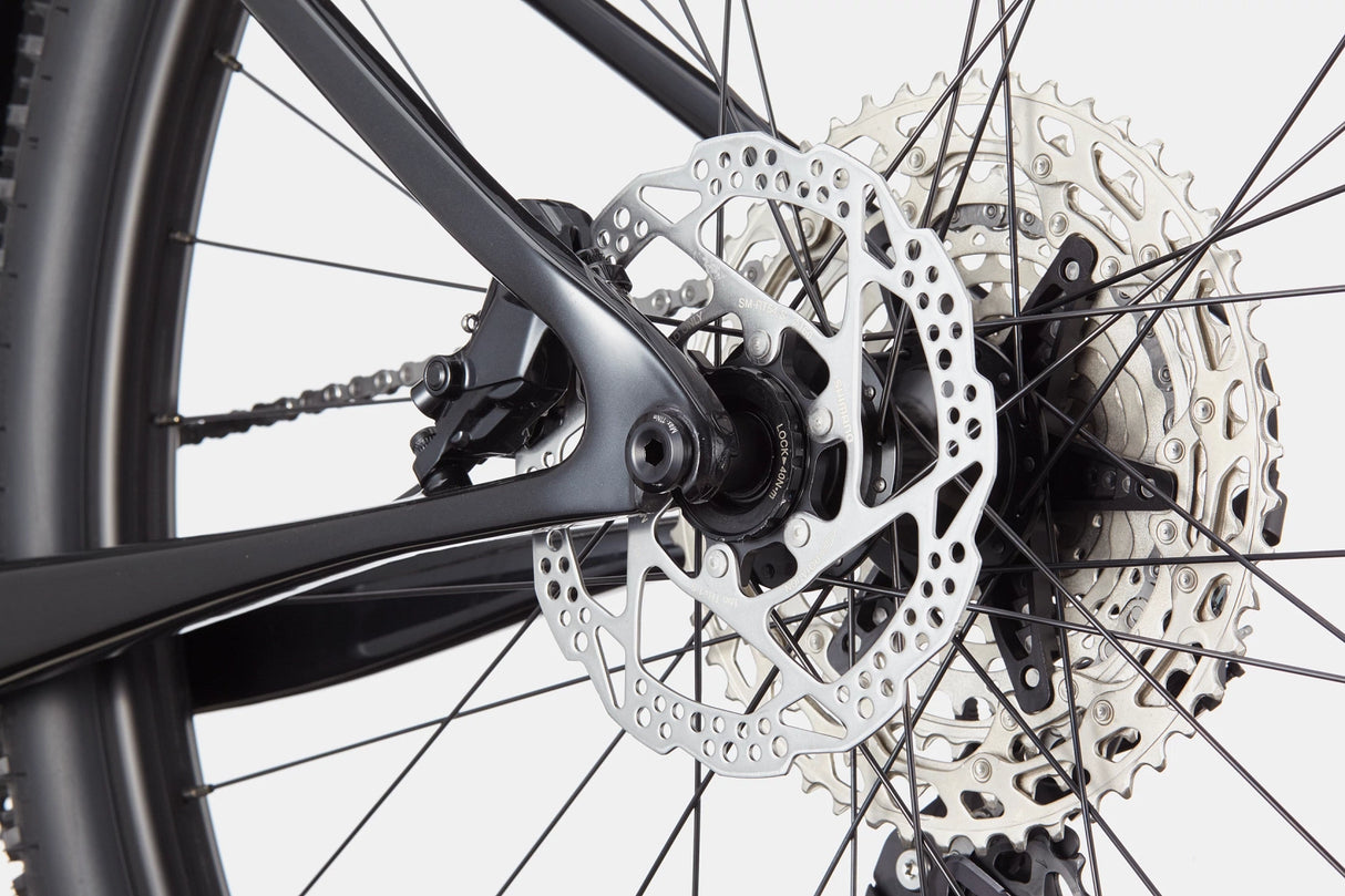 Scalpel HT Carbon 4 Black Pearl