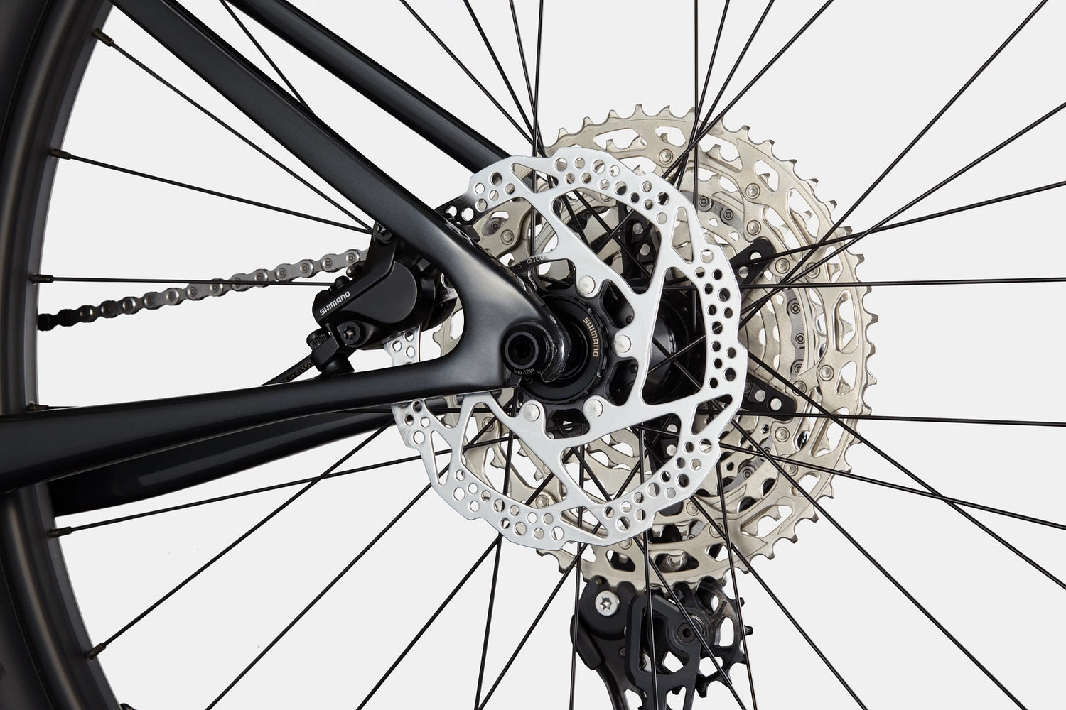 Scalpel HT Carbon 4 - Viper Green