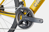 Synapse Carbon 5 - Phoenix Yellow