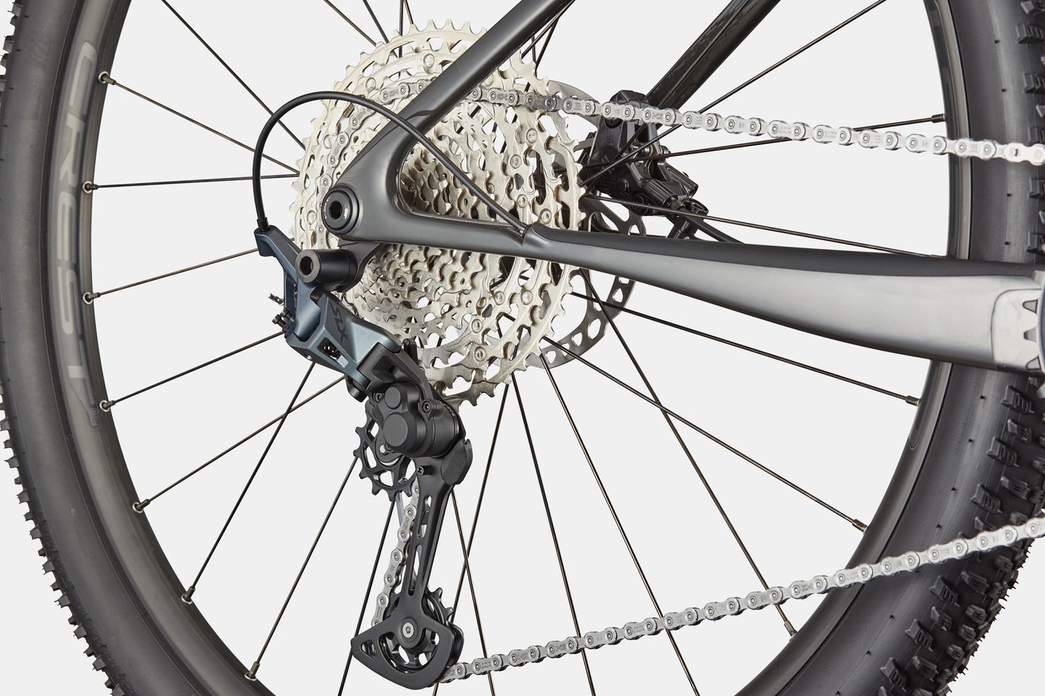 Scalpel HT Carbon 2 - Tiger Eye