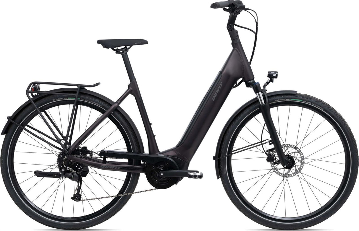 DailyTour E+ 3 (Tiefeinsteiger/Sport/500Wh) rosewood