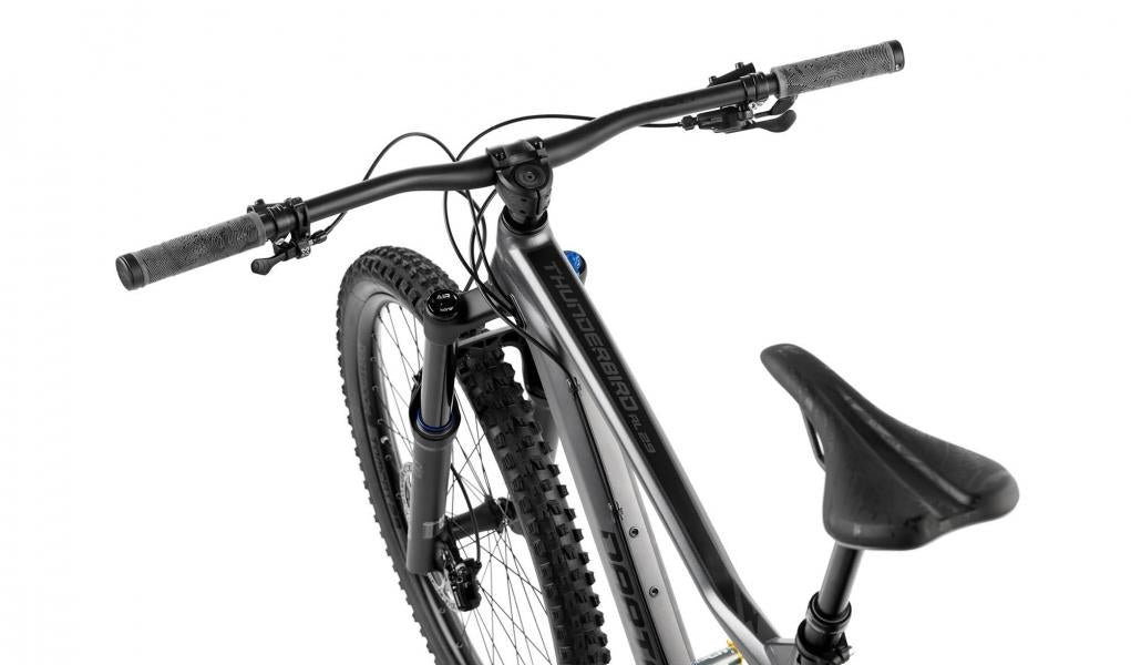 Trailbike Thunderbird Superenduro Evo Alu 29'' Matt Graphite/Black