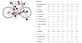 Domane AL 2 Disc Trek Black