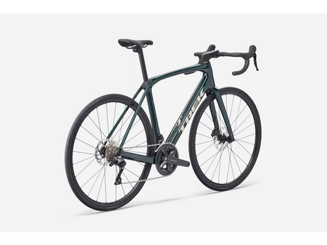 Domane SL 5 Gen 4 - Ivy Smoke