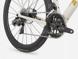 Domane SL 6 AXS Gen 5 - Buff Beige