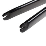 AF01 Carbon Gabel