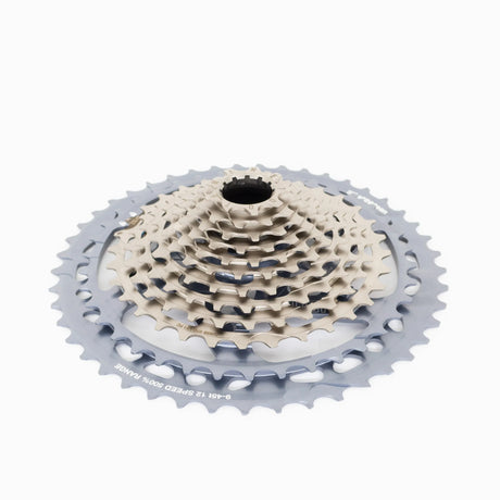 Helix Race Gravel Kassette 12-fach - 9-45 Zähne - nickel grey