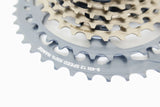 Helix Race Gravel Kassette 12-fach - 9-45 Zähne - nickel grey