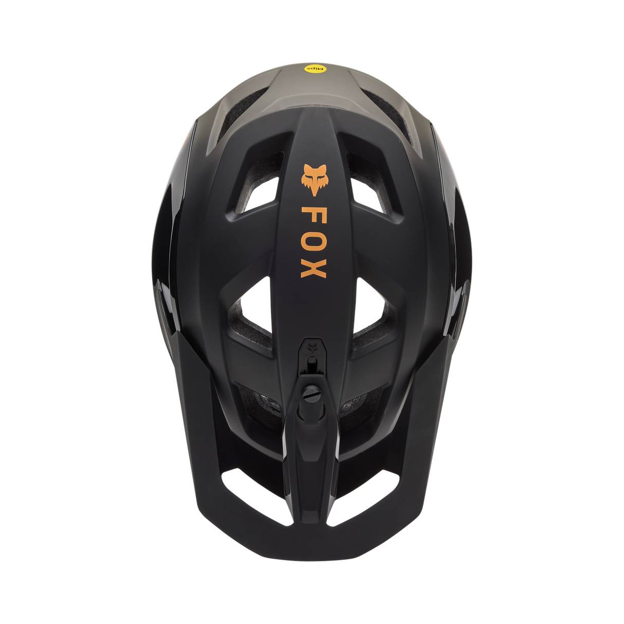 Speedframe Pro Backfade CE - Black
