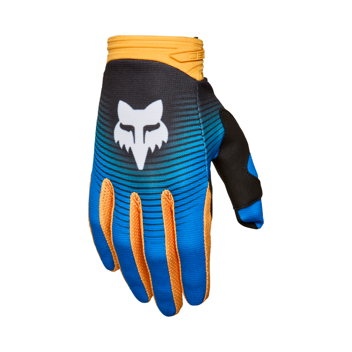 180 Collect Handschuh - Blue