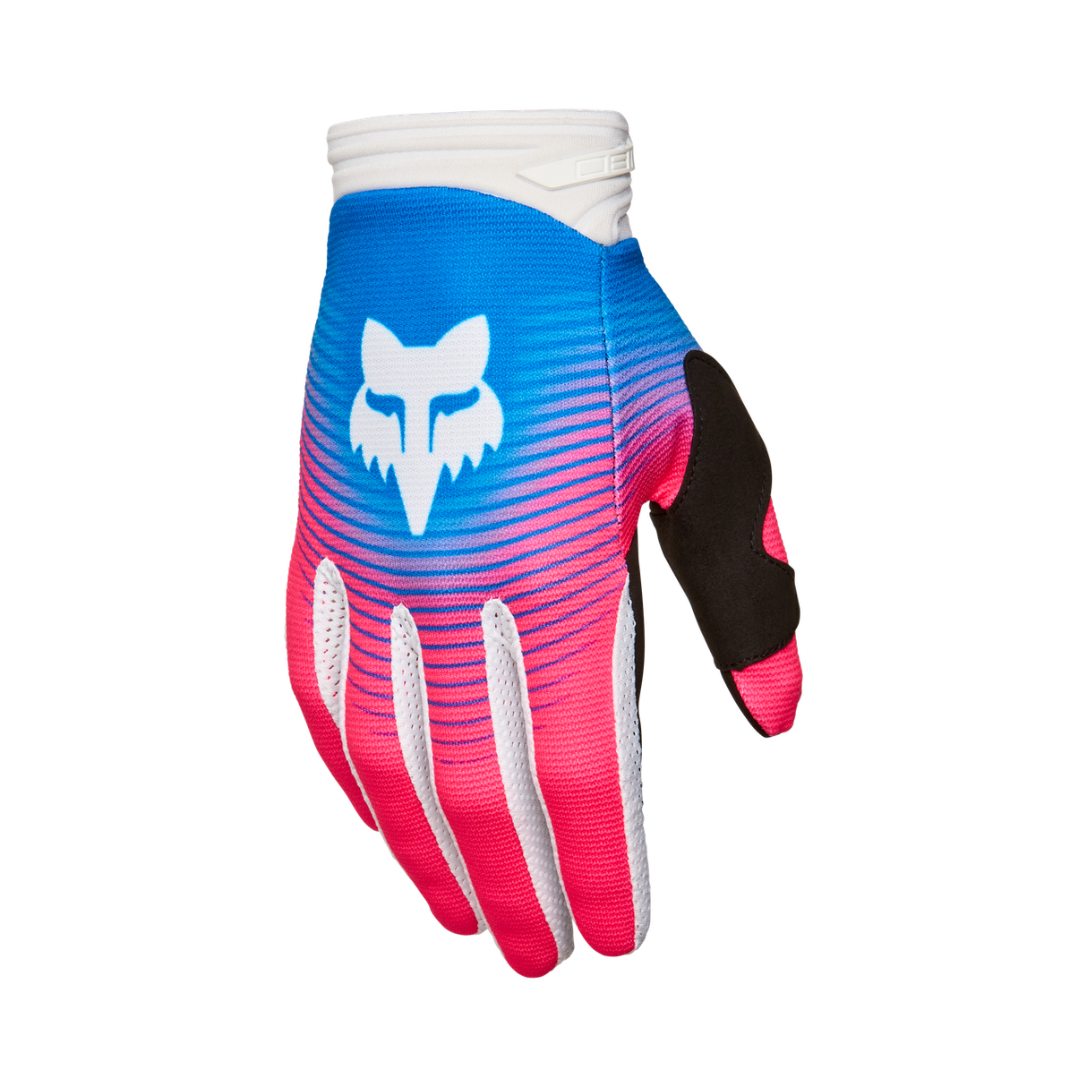 180 Collect Handschuh - Blue/Pink
