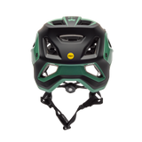 Speedframe Pro Defy Helm CE - Pine
