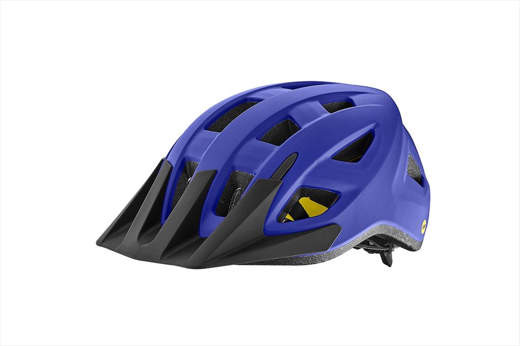 Path ARX MIPS Helmet