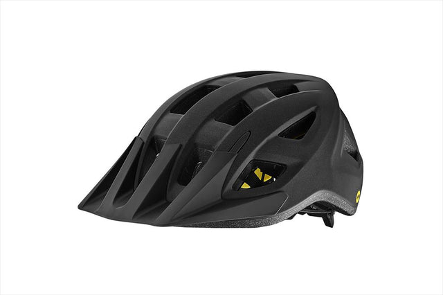 Path ARX MIPS Helm - Mattschwarz