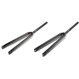 AF01 Carbon Gabel