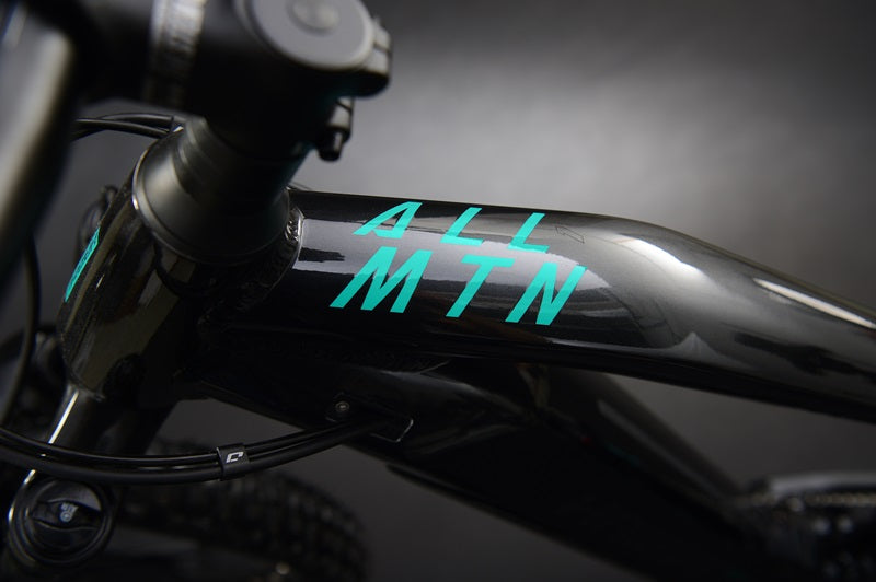 AllMtn 1 MTB Fully - Anthracite / Turqoise