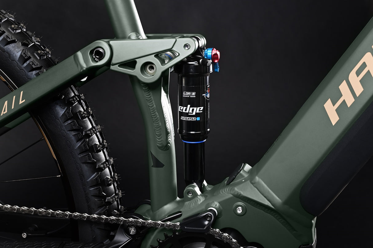 ALLTRAIL 4 MTB Fully - Matte Green Metal Gld Black 29 Zoll