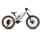 Hellion X20 - Roh
