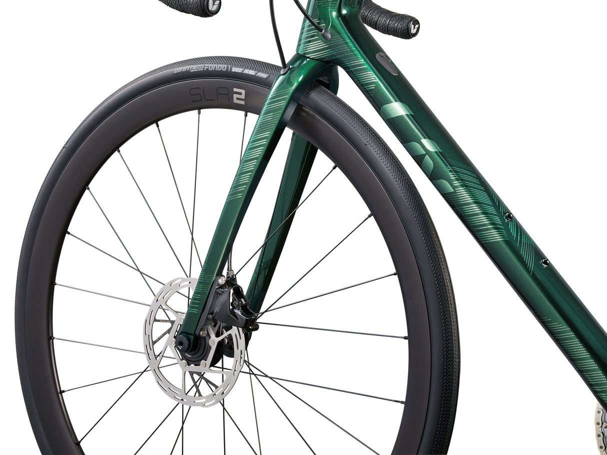 Langma Advanced Pro 1 - Kelp Forest