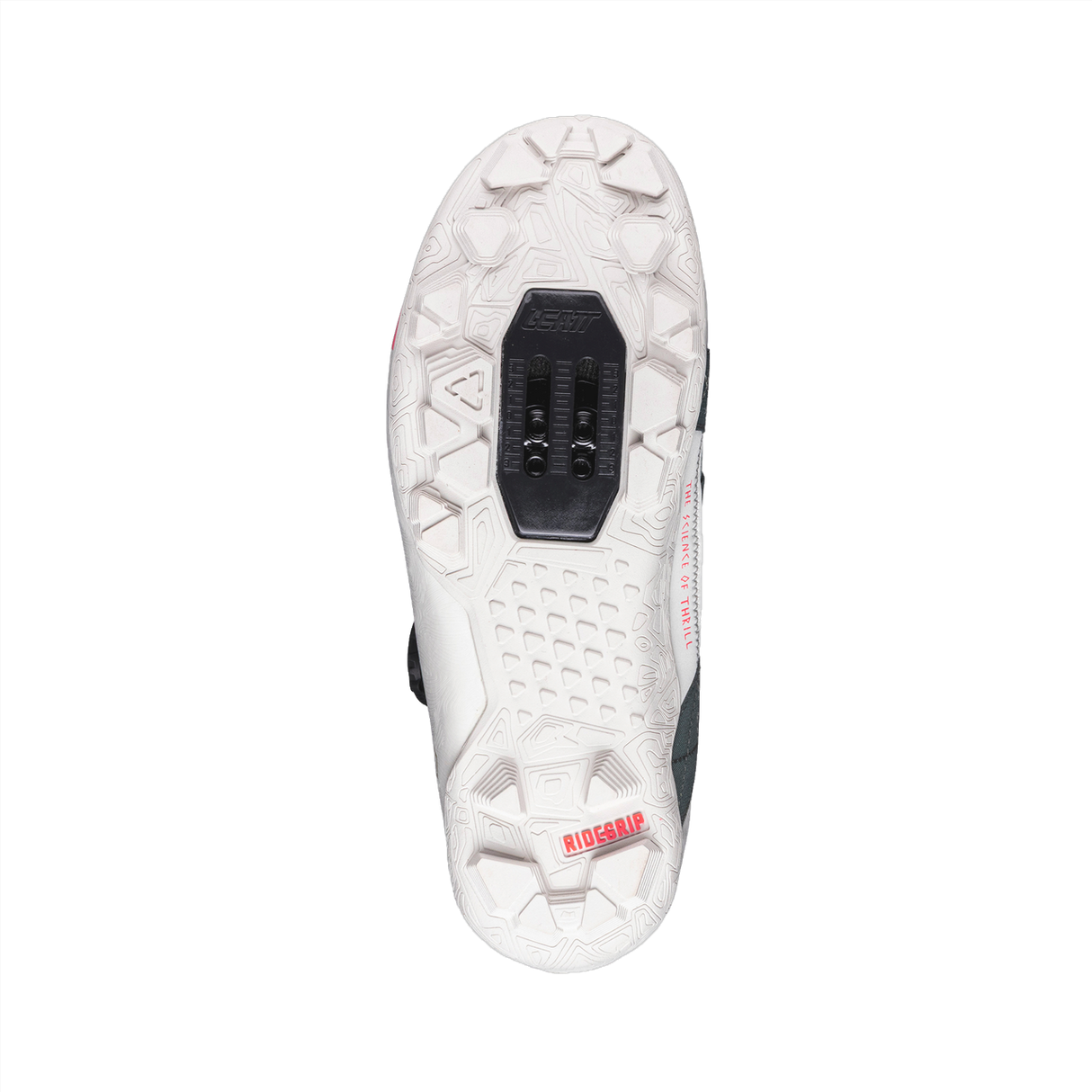 Shoe ProClip 8.0 Endurance Women - Mist Green