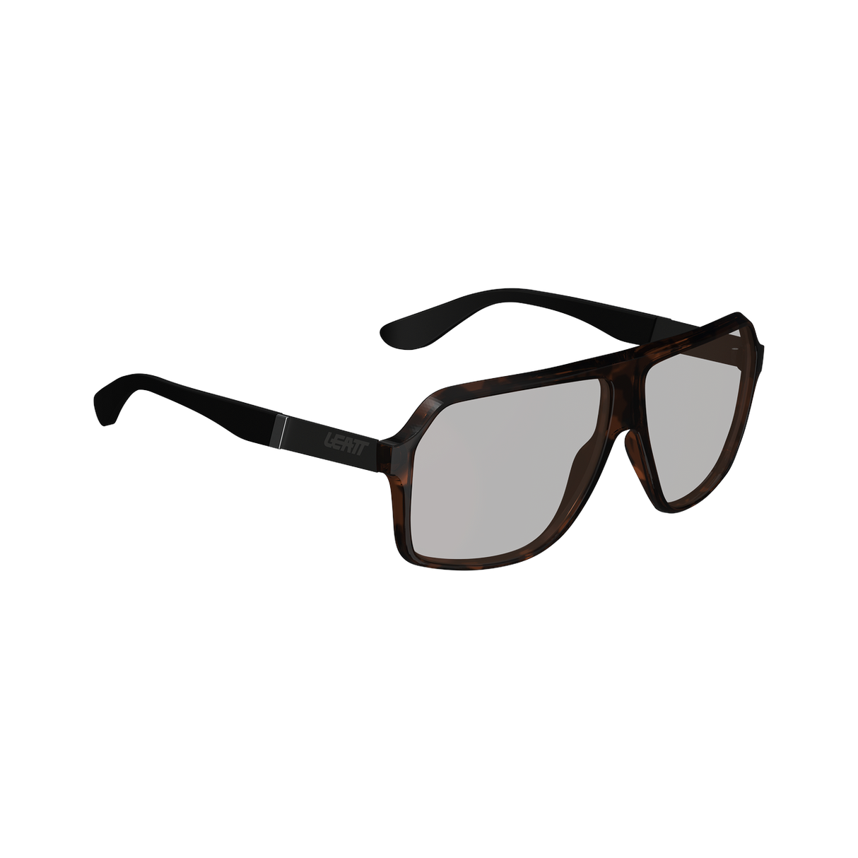 Sunglasses TheViz Andes - Brown Polarized Silver 34 VLT