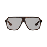 Sunglasses TheViz Andes - Brown Polarized Silver 34 VLT