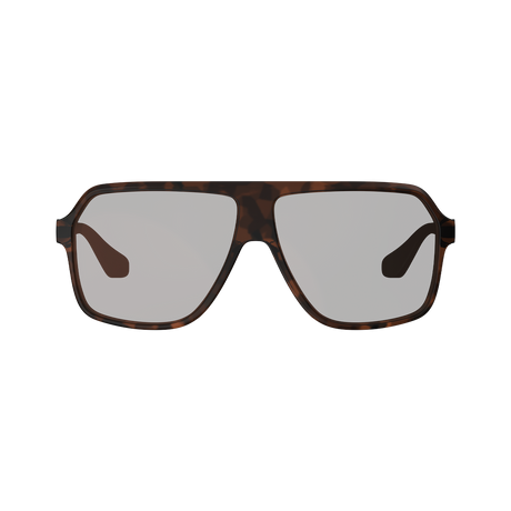 Sunglasses TheViz Andes - Brown Polarized Silver 34 VLT