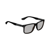 Sunglasses TheViz Sierra - Black/Silver Polarized Silver 34 VLT