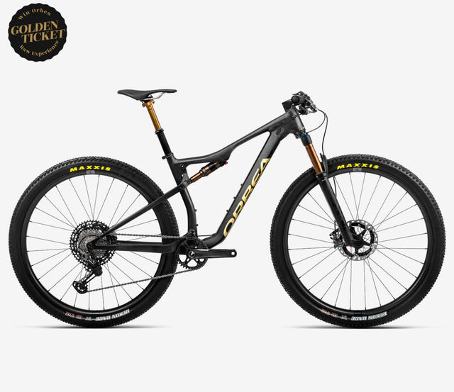 OIZ M TEAM TR - Carbon Raw.Metallic Gold (matt)