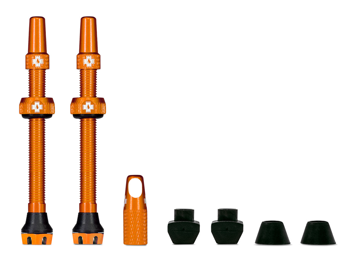 Ventile V2 für Tubeless Reifen - orange - MTB & Road