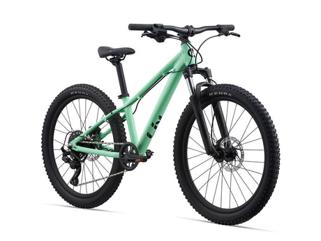 STP 24 FS Neo Mint