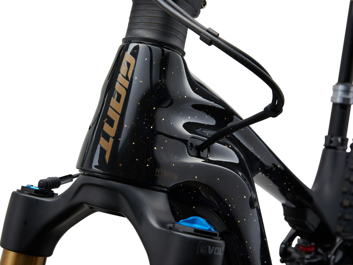 Trance X Advanced E+ LTD - Kashima Flake