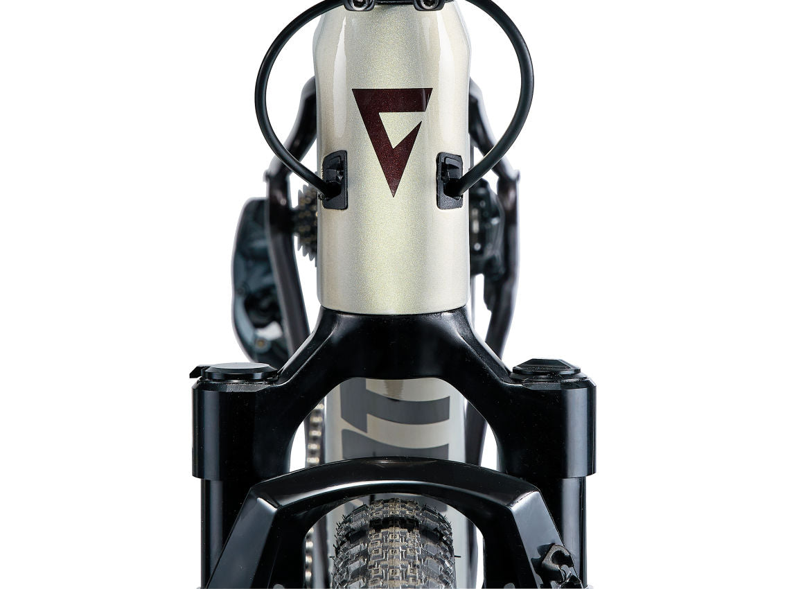 Revolt X Advanced Pro 1 - Golden Haze/Cordovan