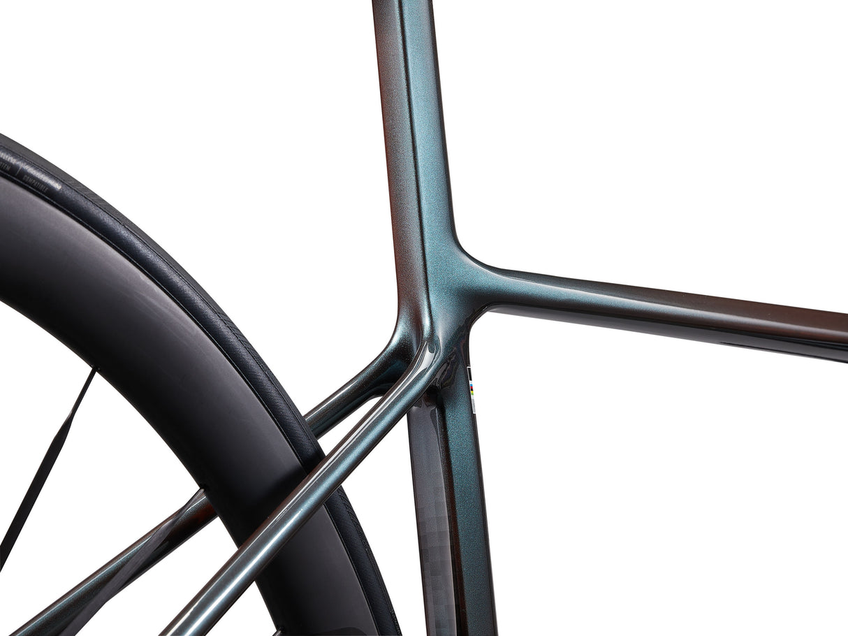 Langma Advanced SL - Tahitian Pearl